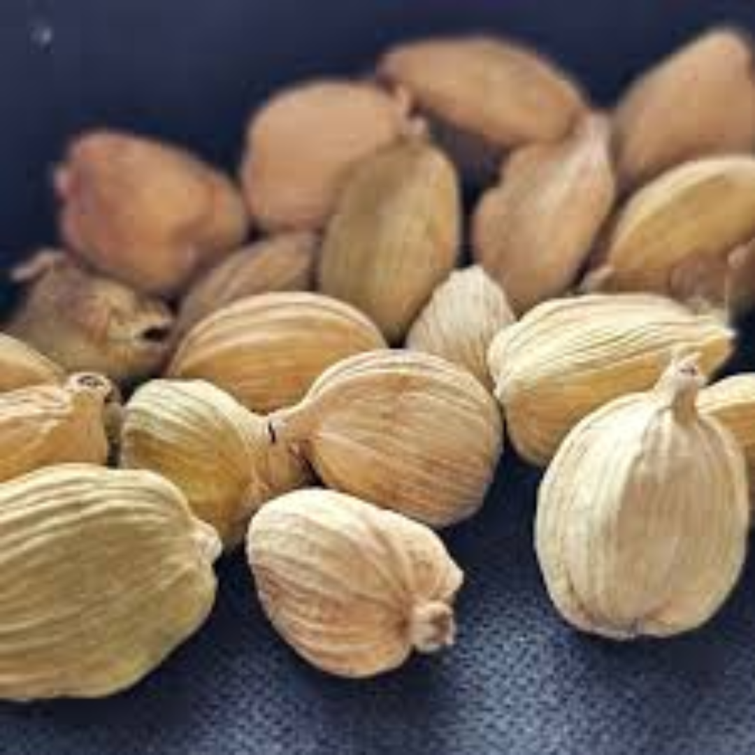 Wholesale White Cardamom Supplier in UAE